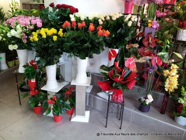 Votre fleuriste Aux Fleurs des Champs propose des bouquets et des compositions florales avec livraison sur Charleville Mézières et les Ardennes