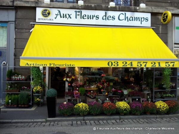 Votre fleuriste Aux Fleurs des Champs propose des bouquets et des compositions florales avec livraison sur Charleville Mézières et les Ardennes