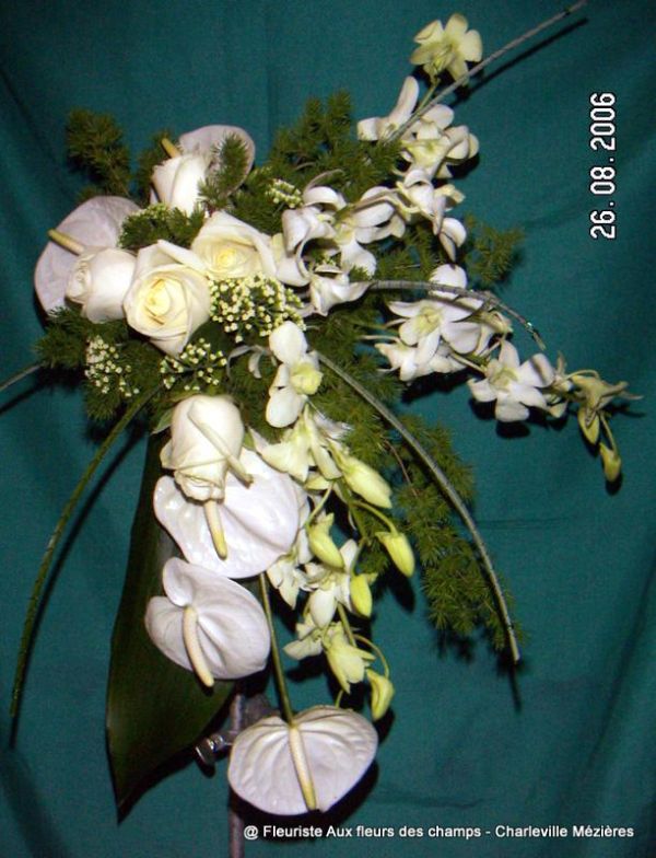 KONICA MINOLTA DIGITAL CAMERA Votre fleuriste Aux Fleurs des Champs propose des bouquets et des compositions florales avec livraison sur Charleville Mézières et les Ardennes