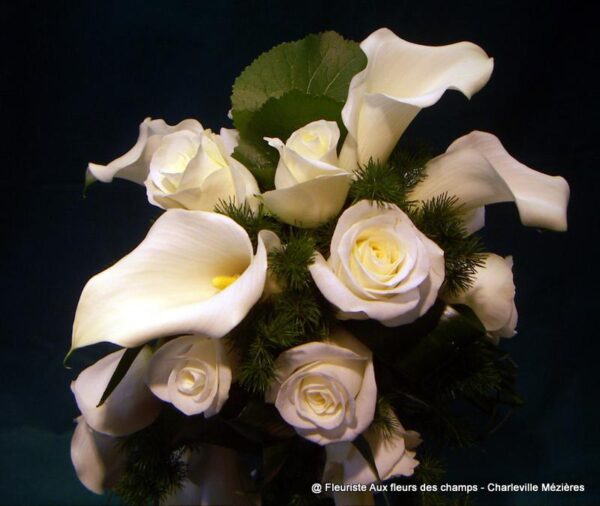 KONICA MINOLTA DIGITAL CAMERA Votre fleuriste Aux Fleurs des Champs propose des bouquets et des compositions florales avec livraison sur Charleville Mézières et les Ardennes